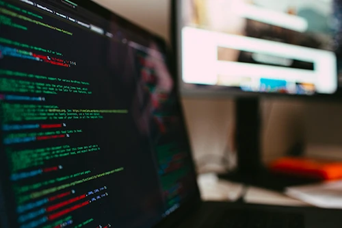 Business growth through software development