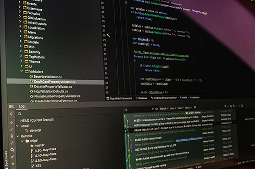 Software development services overview